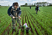 Carbon sequestration soil research