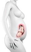 Pregnant woman,week 33
