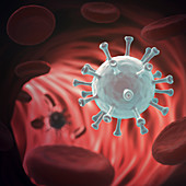 Virus in bloodstream,illustration