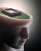 Human head with microchip
