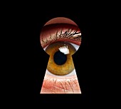 Eye and keyhole,illustration