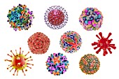 Virus of different shapes,illustration