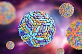 West Nile virus particles,illustration