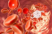 Blood cells,illustration