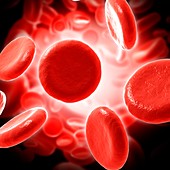 Red blood cells,illustration