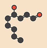 Hydroxynonenal molecule