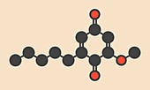 Primin primrose plant allergen molecule