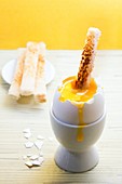 Soft boiled egg with toast soldiers