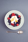 Bowl of fresh berries with yoghurt
