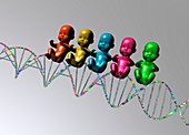 DNA with human babies,illustration