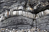 Stratified marine sedimentary rocks