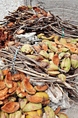 Coconut fibre production,Zanzibar