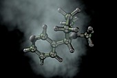 Nicotine molecule,illustration