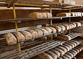 Assorted tin loaves cooling on wooden shelves in a bakery