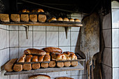 Hefezöpfe (sweet breads from southern Germany) and tin loaves (of sour dough and wholemeal rye bread) from a wood stove