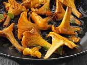 Chanterelle mushrooms sautéed in butter with herbs