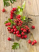 Freshly picked hawthorn berries on a wooden surface