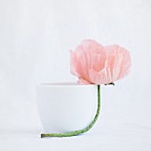 Rosafarbene Mohnblume lehnt an einer weißen Tasse