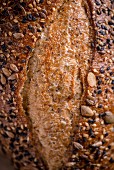 A close-up of bread