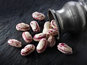Freshly picked borlotti beans falling out of a pewter jug