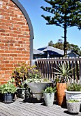 Plants on wooden terrace in front of brick wall