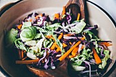 Red cabbage salad with carrots and Brussel sprouts