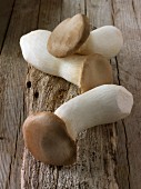 Fresh picked Pleurotus eryngii mushroom