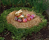 Easter bunny in a cress nest