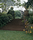 Stairs with Hedera helix