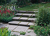 Stairs of natural stone slabs