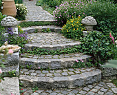 Stairs of cobblestones