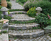 Treppe aus Kopfsteinpflaster