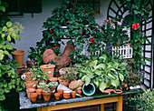 Potting place in the garden