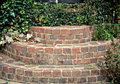 Round brick stairs overgrown with Hedera (ivy)