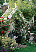 Garden arbour with climbing roses, ivy
