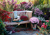 Autumnal seat with autumnal branches, Dendranthema and dahlias