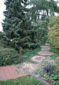 Paved path with natural stones