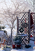 Garden in winter