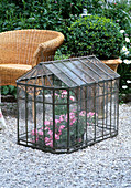 Mini greenhouse in Victorian style