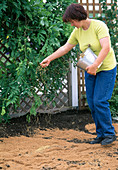 Planting a perennial bed: Soil preparation