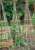 Climbing frame made of willow branches