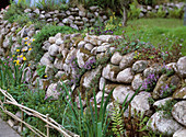 Mauer aus Natursteinen (Teichsteine)