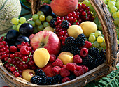 Korb mit Obst: Johannisbeeren, Pflaumen, Aprikosen, Äpfel, Brombeeren
