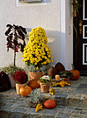 Decoration in front of the front door: Chrysanthemum pyramid