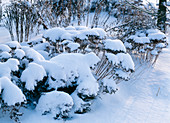 Snowy bed