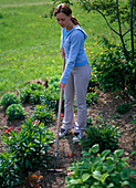 Young woman chopping in the perennial flowerbed