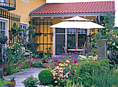 Terrace with Lavandula (Lavender), Rosa (Roses, Acer palmatum)