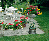Terrace with white seating area, box with Pelargonium zonale