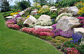 Rock garden on the hillside