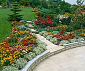 Panorama with annuals, roses